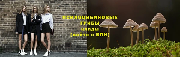 мет Горно-Алтайск