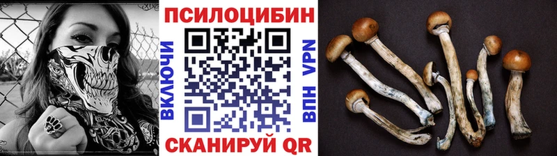 Купить где  Каменск-Шахтинский  Псилоцибиновые грибы Magic Shrooms 